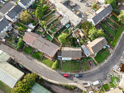 Picture 33